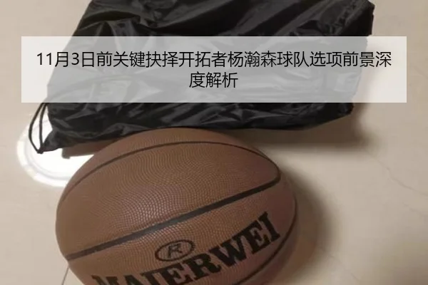 11月3日前关键抉择开拓者杨瀚森球队选项前景深度解析 | KaiyuanGaming